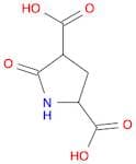 2,4-Pyrrolidinedicarboxylic acid, 5-oxo-