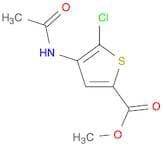 2-Thiophenecarboxylic acid, 4-(acetylamino)-5-chloro-, methyl ester