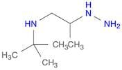 1-Propanamine, N-(1,1-dimethylethyl)-2-hydrazino-