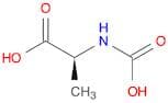 Alanine, N-carboxy-