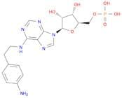 5'-Adenylic acid, N-[2-(4-aminophenyl)ethyl]-