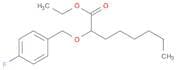 Octanoic acid, 2-[(4-fluorophenyl)methoxy]-, ethyl ester