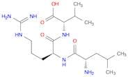 L-Valine, L-leucyl-L-arginyl-
