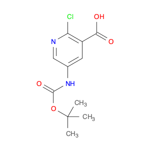 5-((tert-Butoxycarbonyl)amino)-2-chloronicotinic acid
