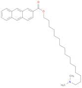 2-Anthracenecarboxylic acid, 16-(dimethylamino)hexadecyl ester