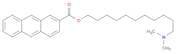 2-Anthracenecarboxylic acid, 11-(dimethylamino)undecyl ester