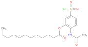 Dodecanoic acid, 2-(acetylamino)-5-(chlorosulfonyl)phenyl ester