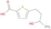 2-Thiophenecarboxylic acid, 5-(3-hydroxybutyl)-