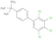 1,2,3,4-tetrachloro-5-(4-tert-butylphenyl)benzene