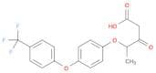 Pentanoic acid, 3-oxo-4-[4-[4-(trifluoromethyl)phenoxy]phenoxy]-