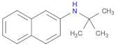 2-Naphthalenamine, N-(1,1-dimethylethyl)-