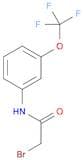 Acetamide, 2-bromo-N-[3-(trifluoromethoxy)phenyl]-
