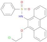 Benzenesulfonamide, N-[10-(2-chloroethoxy)-9-phenanthrenyl]-