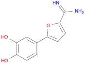 2-Furancarboximidamide, 5-(3,4-dihydroxyphenyl)-