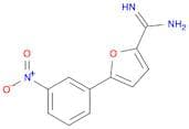 2-Furancarboximidamide, 5-(3-nitrophenyl)-