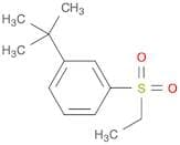 Benzene, 1-(1,1-dimethylethyl)-3-(ethylsulfonyl)-