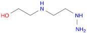 2-[(2-hydrazinylethyl)amino]ethan-1-ol