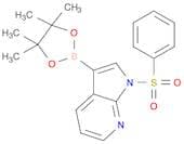 1-(Phenylsulfonyl)-7-azaindole-3-boronic acid, poinacol ester