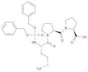 L-Proline, 1-[1-[N-[bis(phenylmethoxy)phosphinyl]-L-methionyl]-L-prolyl]-