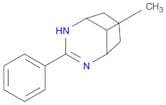 2,4-Diazabicyclo[3.3.1]non-2-ene, 9-methyl-3-phenyl-