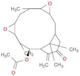 Hypoestoxide, Hypoestes rosea