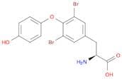 L-Tyrosine, 3,5-dibromo-O-(4-hydroxyphenyl)-