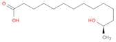 Tetradecanoic acid, 13-hydroxy-, (R)-