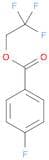 Benzoic acid, 4-fluoro-, 2,2,2-trifluoroethyl ester