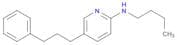 2-Pyridinamine, N-butyl-5-(3-phenylpropyl)-