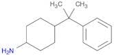 Cyclohexanamine, 4-(1-methyl-1-phenylethyl)-