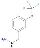 3-Trifluoromethoxy-benzyl-hydrazine