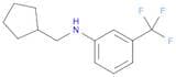 Benzenamine, N-(cyclopentylmethyl)-3-(trifluoromethyl)-