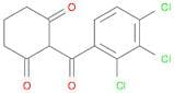 1,3-Cyclohexanedione, 2-(2,3,4-trichlorobenzoyl)-