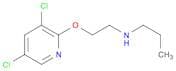1-Propanamine, N-[2-[(3,5-dichloro-2-pyridinyl)oxy]ethyl]-
