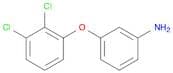Benzenamine,3-(2,3-dichlorophenoxy)-