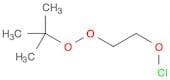 Hypochlorous acid, 2-[(1,1-dimethylethyl)dioxy]ethyl ester