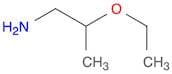 (2-Ethoxypropyl)amine hydrochloride