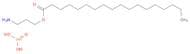 Octadecanoic acid, 3-aminopropyl ester, phosphonate (1:1)
