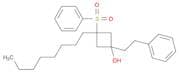 Cyclobutanol, 3-octyl-1-(2-phenylethyl)-3-(phenylsulfonyl)-