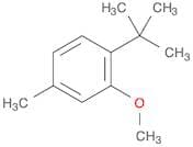 1-(1,1-Dimethylethyl)-2-methoxy-4-methylbenzene