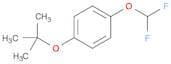 Benzene, 1-(difluoromethoxy)-4-(1,1-dimethylethoxy)-