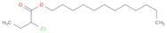 Butanoic acid, 2-chloro-, dodecyl ester