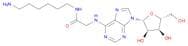 Adenosine, N-[2-[(6-aminohexyl)amino]-2-oxoethyl]-