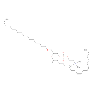 2-[[(2R)-3-hexadecoxy-2-[(9Z,12Z)-octadeca-9,12-dienoyl]oxy-propoxy]-oxido-phosphoryl]oxyethyl-tri…