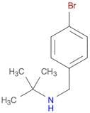 (4-Bromobenzyl)tert-butylamine