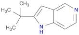 2-(tert-Butyl)-1H-pyrrolo[3,2-c]pyridine