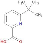 6-tert-butylpyridine-2-carboxylic acid