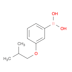 3-Isobutoxyphenylboronic acid