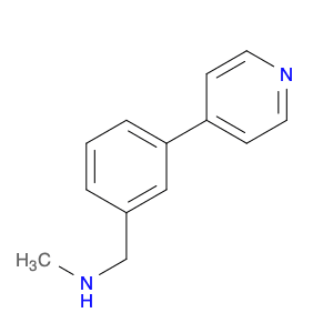 N-METHYL-N-(3-PYRIDIN-4-YLBENZYL)AMINE