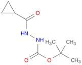tert-Butyl 2-(cyclopropanecarbonyl)hydrazinecarboxylate